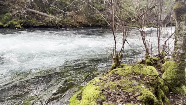 The Razor's Edge of McKenzie River aka Koosah Falls – Sahalie Falls & Koosah Falls Loop – 4K