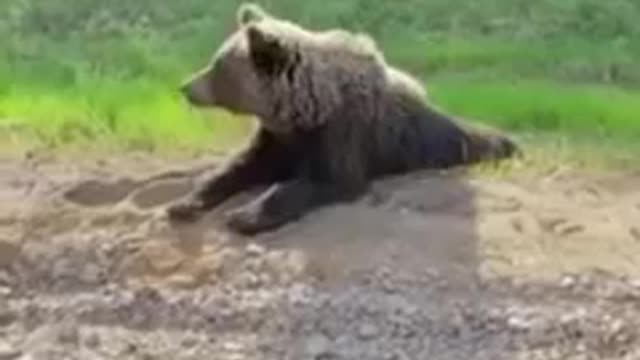 A Typical Russian Day