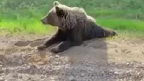 A Typical Russian Day