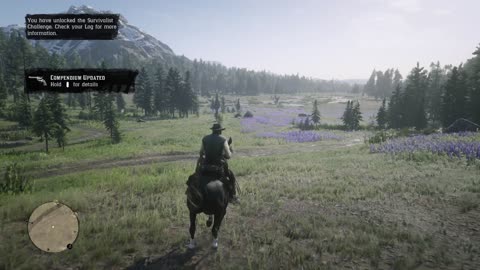 rdr2 walkthrough, motherhood