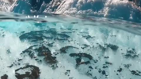 Hidden glacier pool at 3k feet in the Wrangell St Elias National Park 🏔💙 .