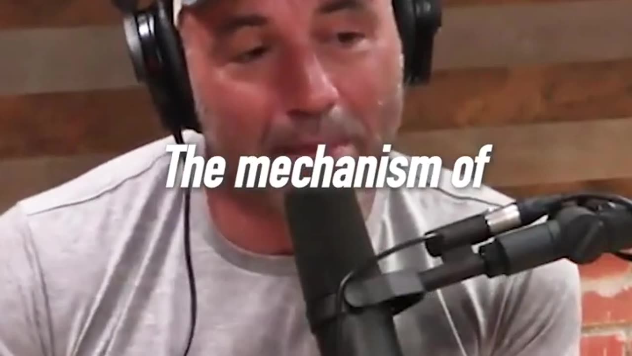 Joe Rogan on what's important in life