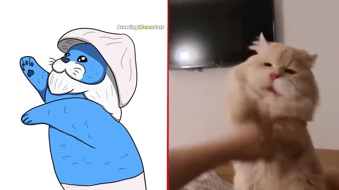 😂Cat Memes: Smurf Cat We Live, We Love, We Lie Funny Animals That Will Make You Laugh 2023😊