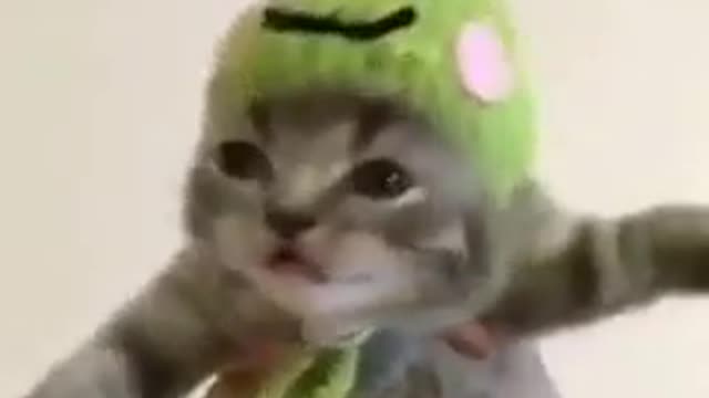 Tchuqui tchuqui