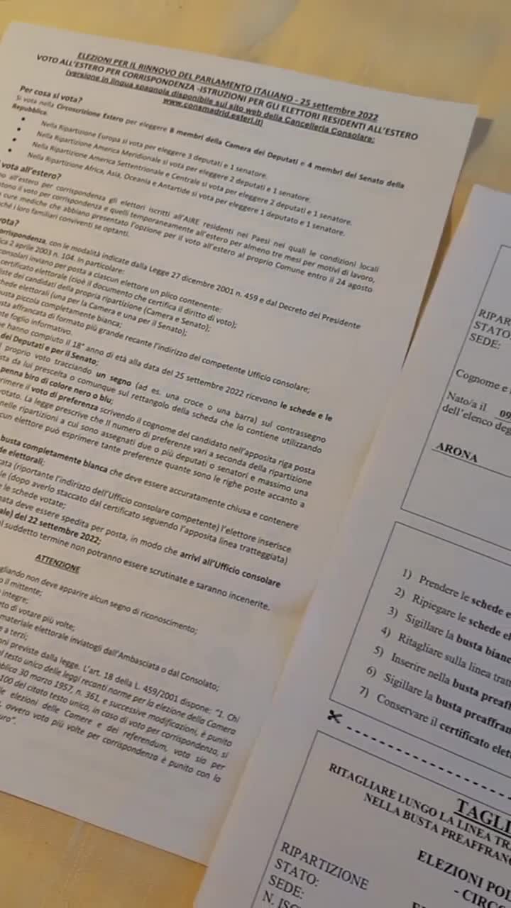 Gli italiani all’estero non potranno votare i partiti antisistema perché non ci sono sulle schede😂