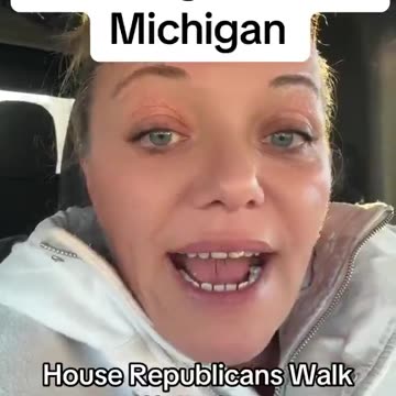 Michigan house rep