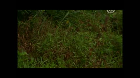 Robinson S08E40