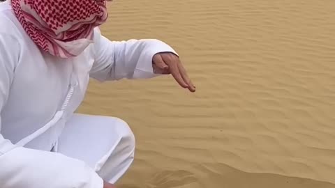 Habibi I found oil 🤫