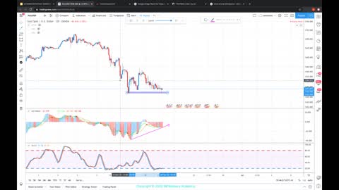 HOW TO TRADE HARMONIC DIVERGENCE