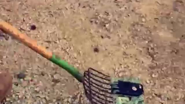Nsfw guy drops phone in porta potty fishes out