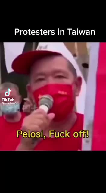 Taiwanese protest Pelosi.