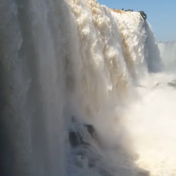 Nature and Wildlife 13