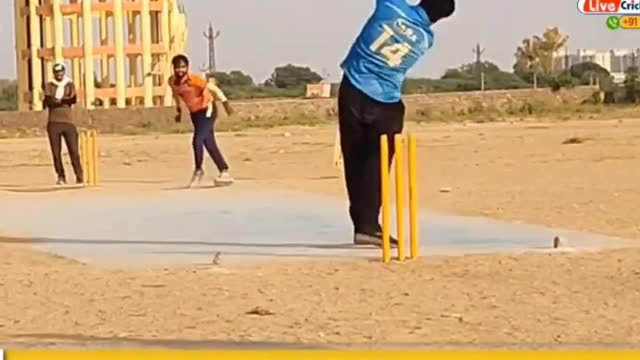 Cricket match highlight