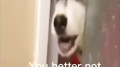 It makes me laugh so hard