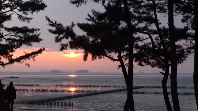 Red sunset and drained sea 5