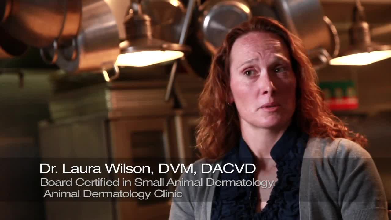 The Specialists# Hydrolyzed and Unique Dog Food Ingredients # JustFoodForDogs