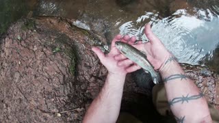 Tonto Creek Arizona - Trout Fishing During Monsoon