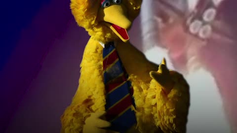 Did You Know Big Bird Was Almost Killed in Space