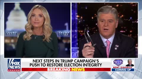 Kayleigh McEnany: 'Tainted election' did not capture America's vote