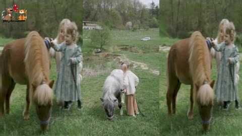 Horse baby & Baby girl I love You