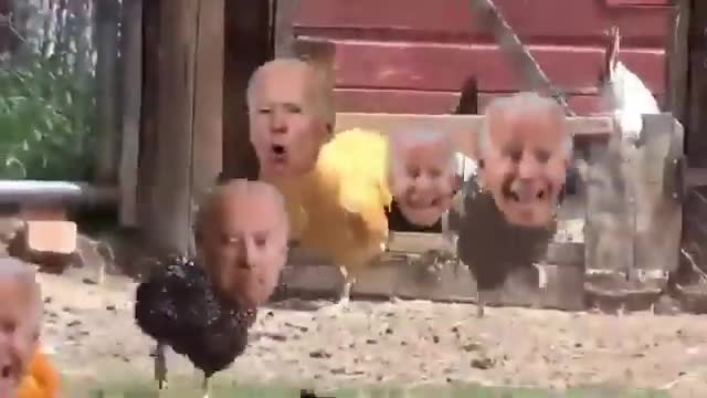 Biden Chicken Dance