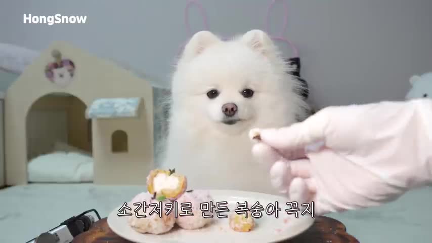 🍑 Peach cookies for dogs 🍑