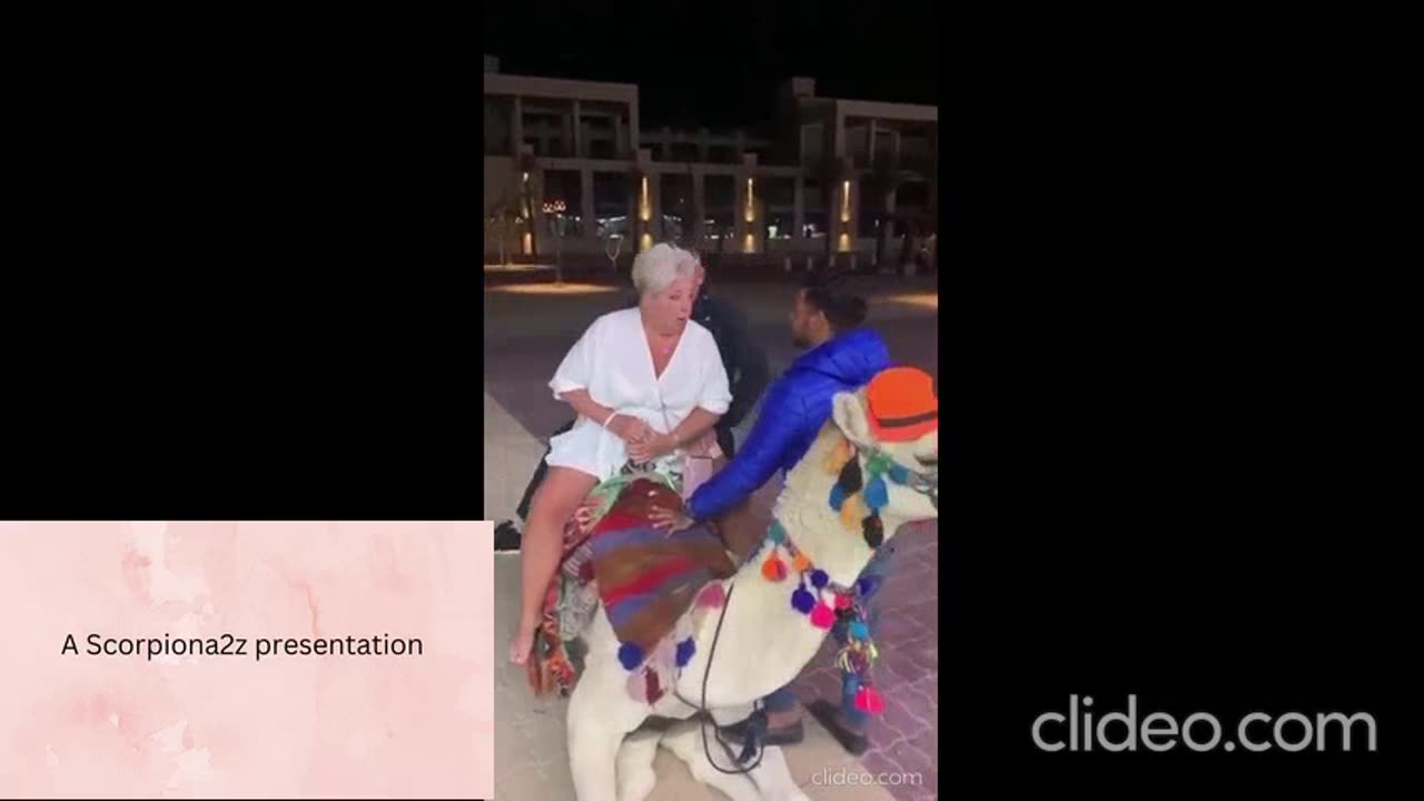 Tourists fall from a camels back...