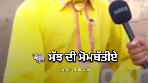 ਕੀ ਹਾਲ ਆ ਦੋਸਤੋ,,ਸੀਤੋ ਵਾਲੇ ਦੇ ਚੇਲੇ