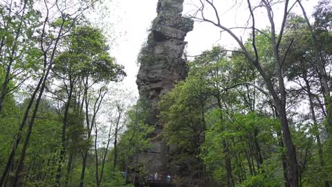 "Avatar" Mountain & Wulingyuan Scenic Area