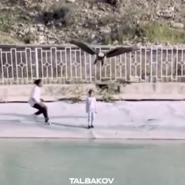 Eagle attack for boy but mom 😈 😱😱😱