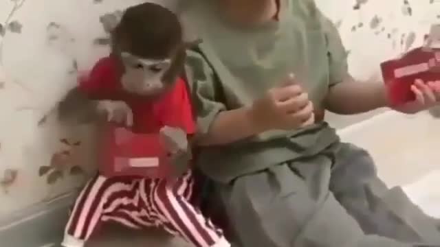 Funny Dog Videos 2021 It's time to LAUGH with Dog's life23