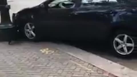 Guy Taunts Trump Supporter Results In Instant Self Inflicted FAIL! (FUNNY)