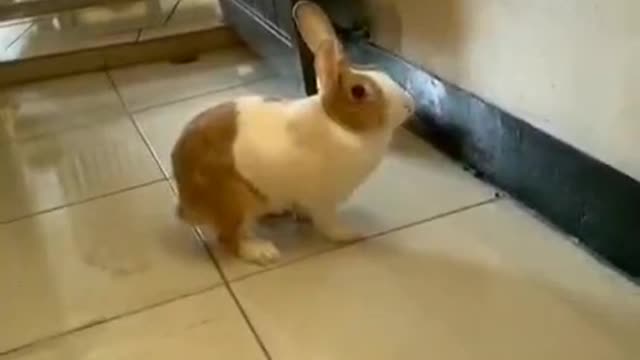 what are you looking for?