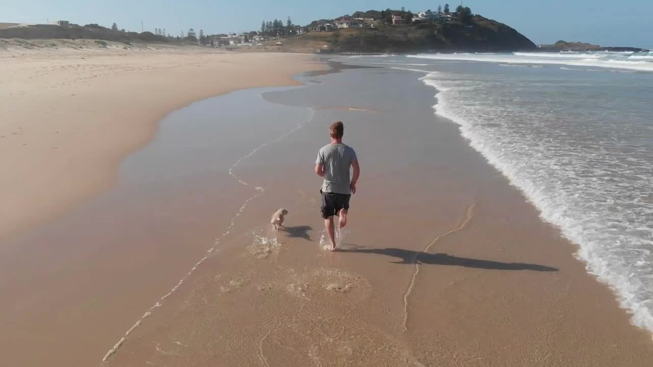 Aerial beach seascape man jogging with pet dog on beach through waves