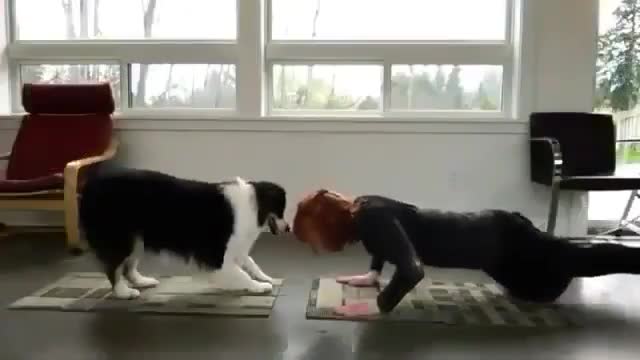 Yoga with your dog