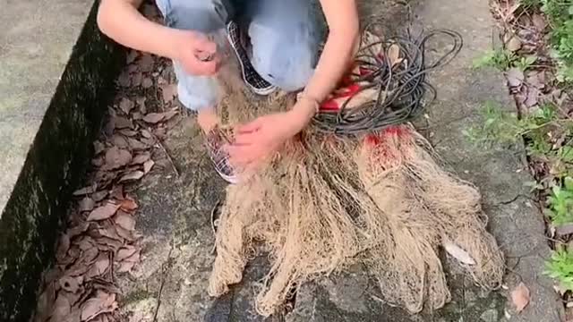Amazing Net Fishing by a beautiful Lady