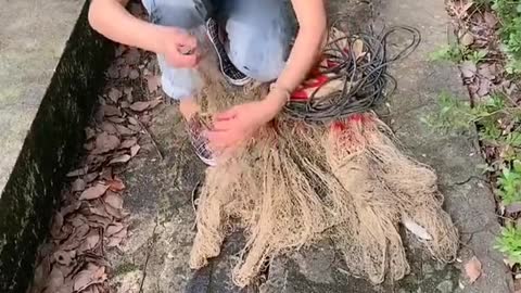 Amazing Net Fishing by a beautiful Lady