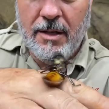 Quem tiver coragem só falar aí