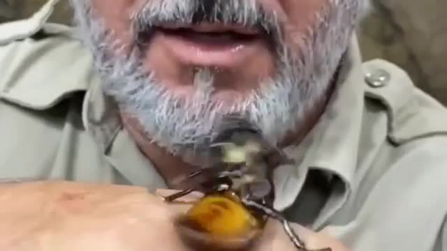 Quem tiver coragem só falar aí
