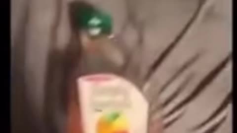 Random video 13