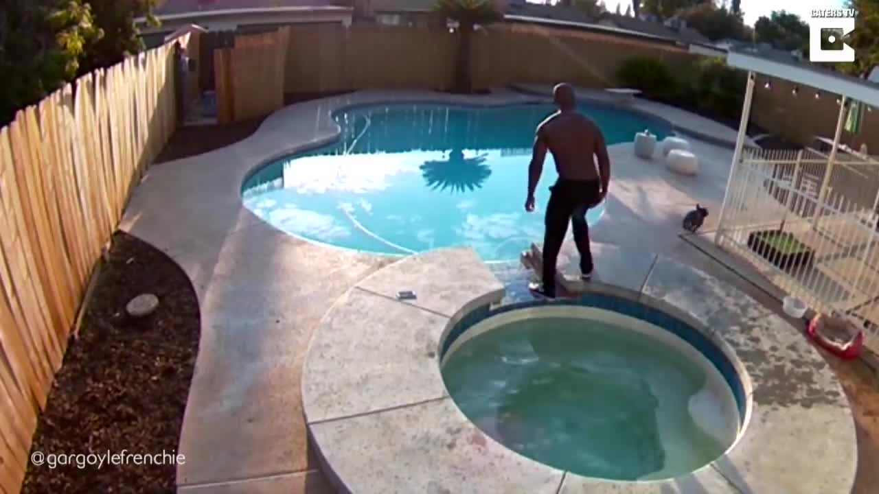 Man Rescues Puppy From Drowning In Backyard Pool