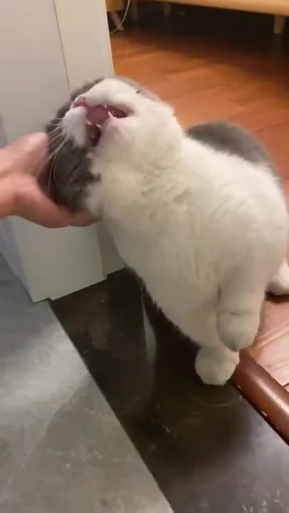 Why am I not at the Olympics?