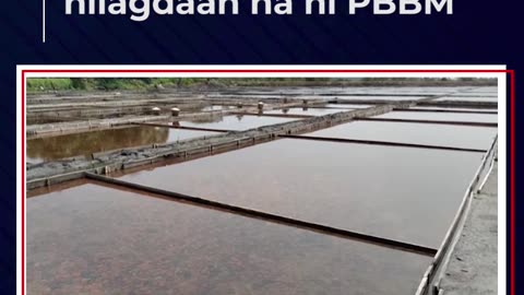 Philippine Salt Industry Development Act, nilagdaan na ni PBBM