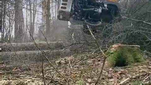 A day in the life of a logger, section one