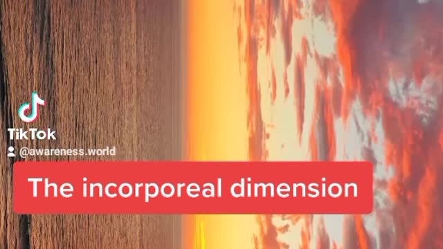 Discover the dimensions in the universe that coexist with our reality