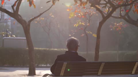 Reveal Shot of Man Sat on Park Bench