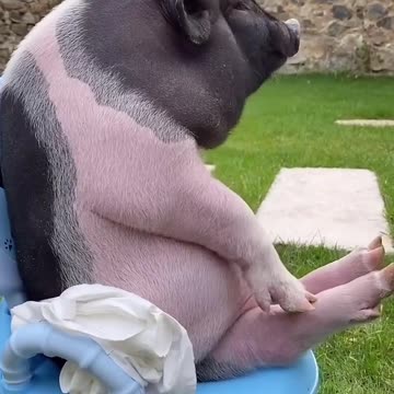 It's the time for relaxing