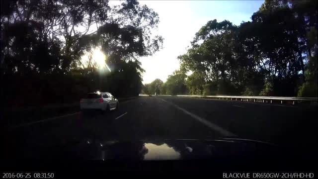 Hitchhiking Spider Decides To Take A Ride In Girl’s Car