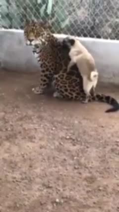 can't stand it anymore