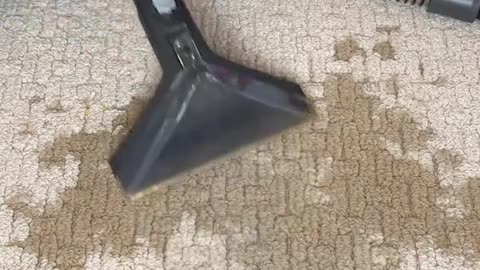 Quick drying vacuum cleaner